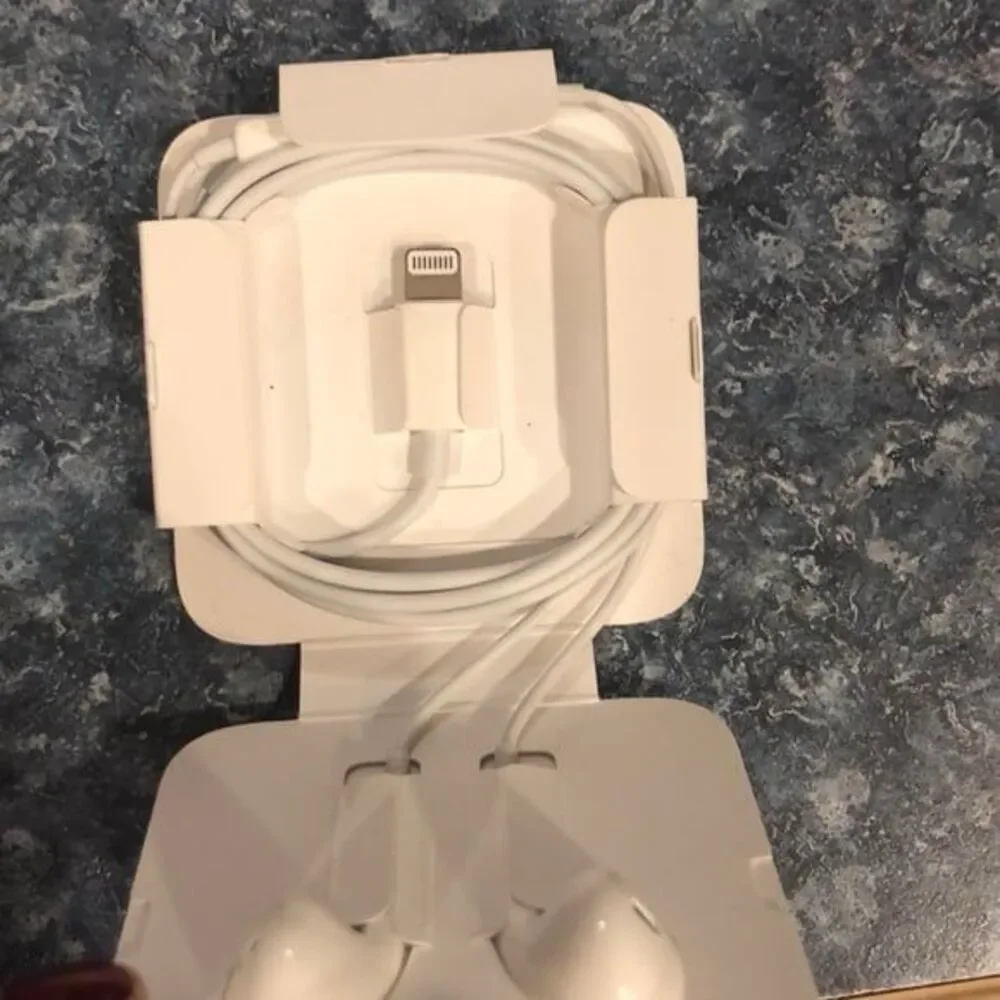 Apple iPhone earbuds wired OEM